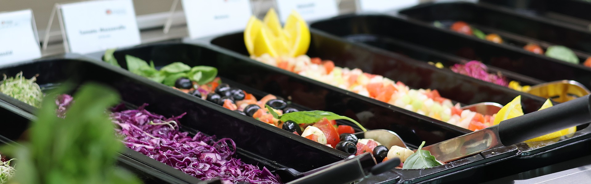 Panorama Catering